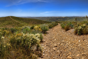 当鲜花与掌声散去，那位老将的独白，让人潸然泪下